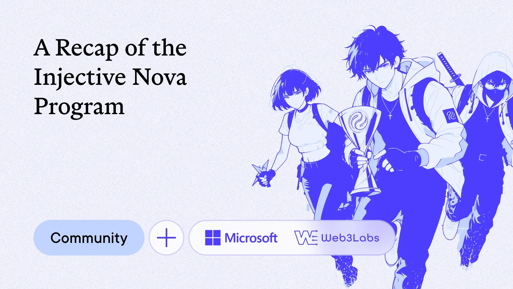 A Recap of the Injective Nova Program