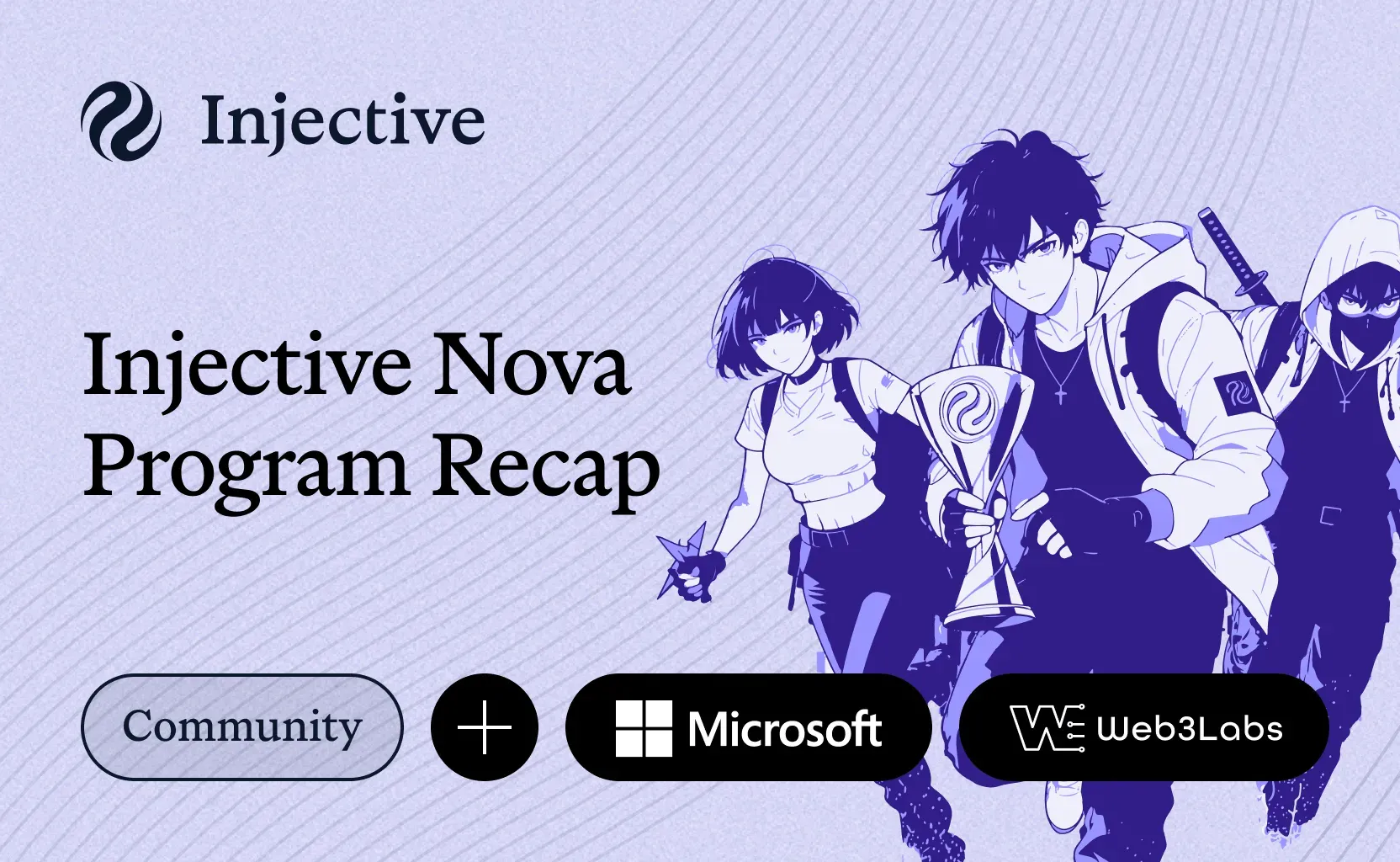 A Recap of the Injective Nova Program