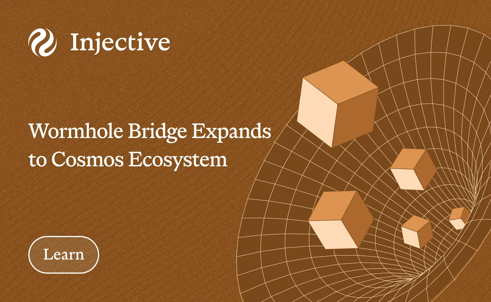 What Is the Wormhole Bridge on Injective? A Complete Guide